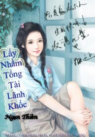 lay-nham-tong-tai-lanh-khoc