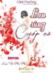 Lau Sung Cuop Co