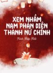 xem-nham-nam-phan-dien-thanh-nu-chinh-convert