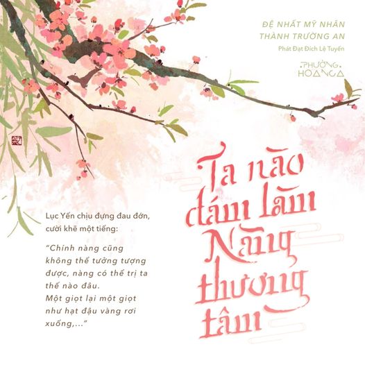 review-de-nhat-my-nhan-thanh-truong-an