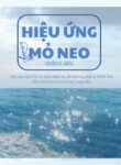 hieu-ung-mo-neo
