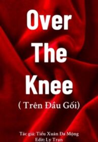 over-the-knee-tren-dau-goi